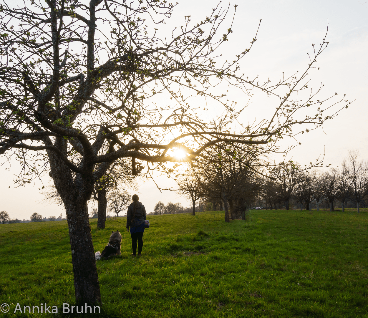 Q und Annika genießen die letzten Sonnenstrahlen vom Tag